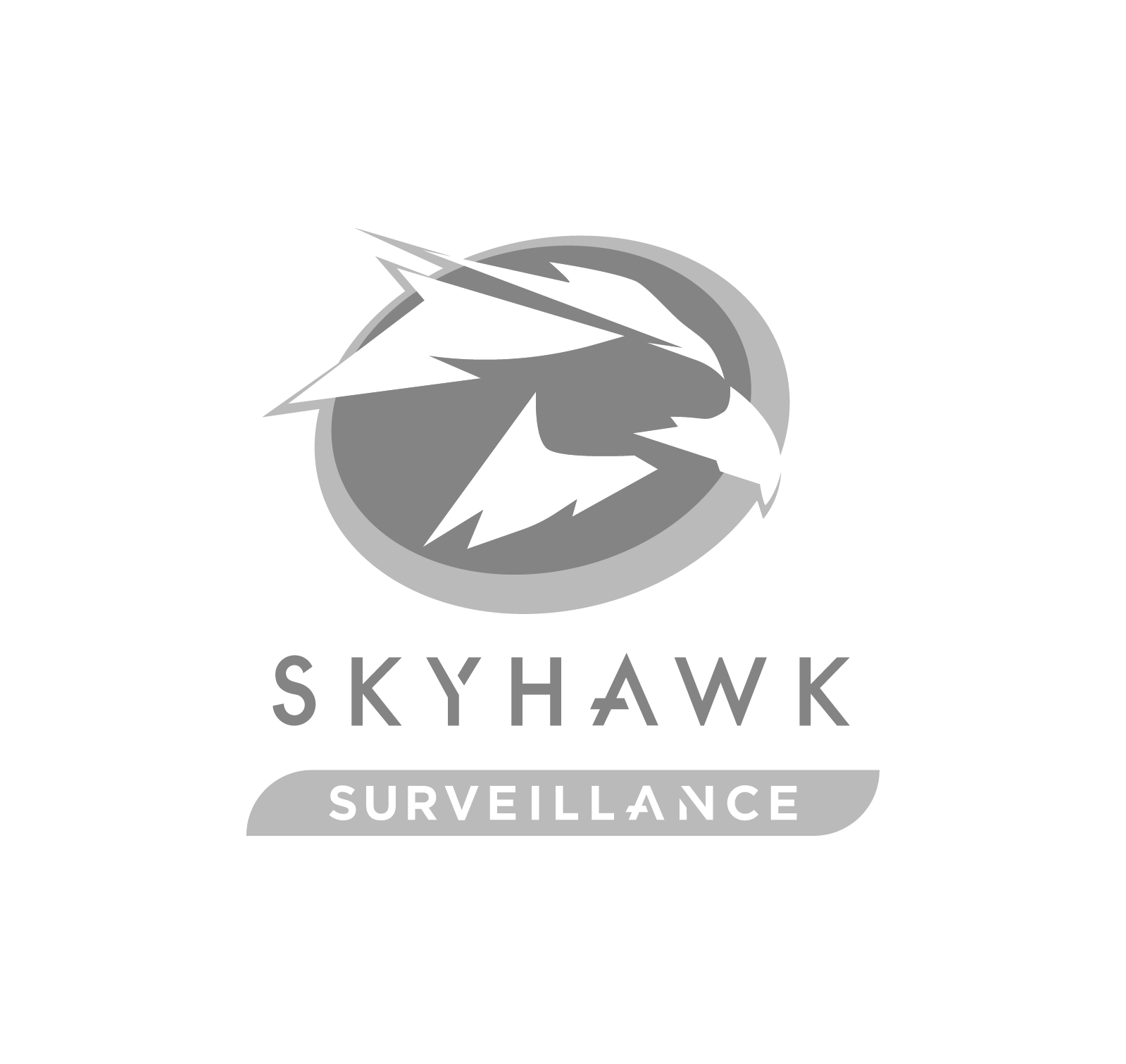 Logo Seagate Seahawk